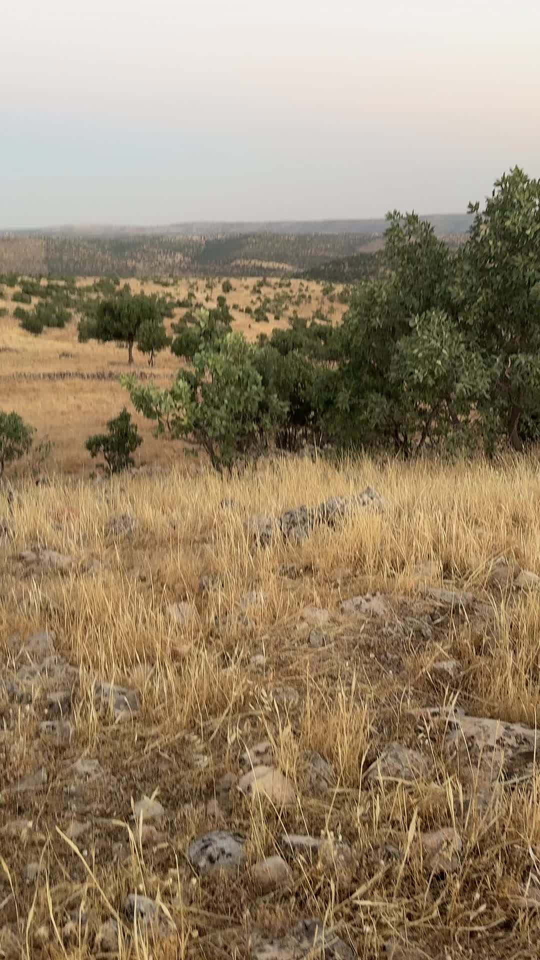 @Muhammet