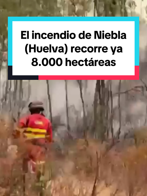 @El País