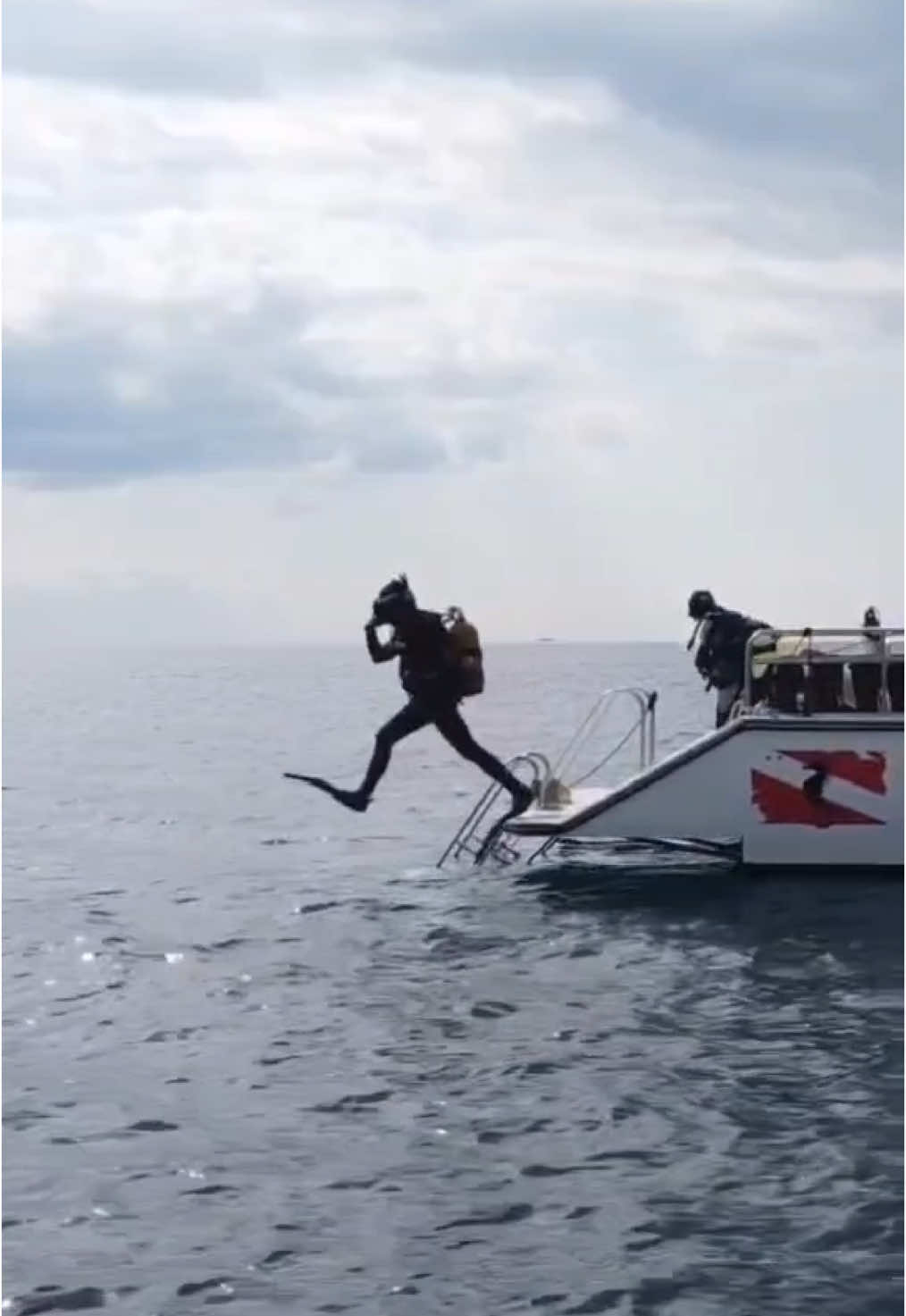 @Seahorsedive