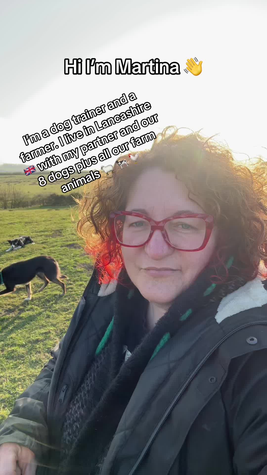 @Marti Border Collie Geek
