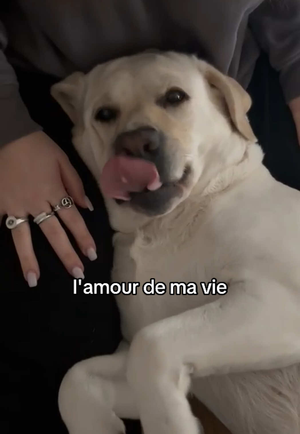 @★ GIULIA