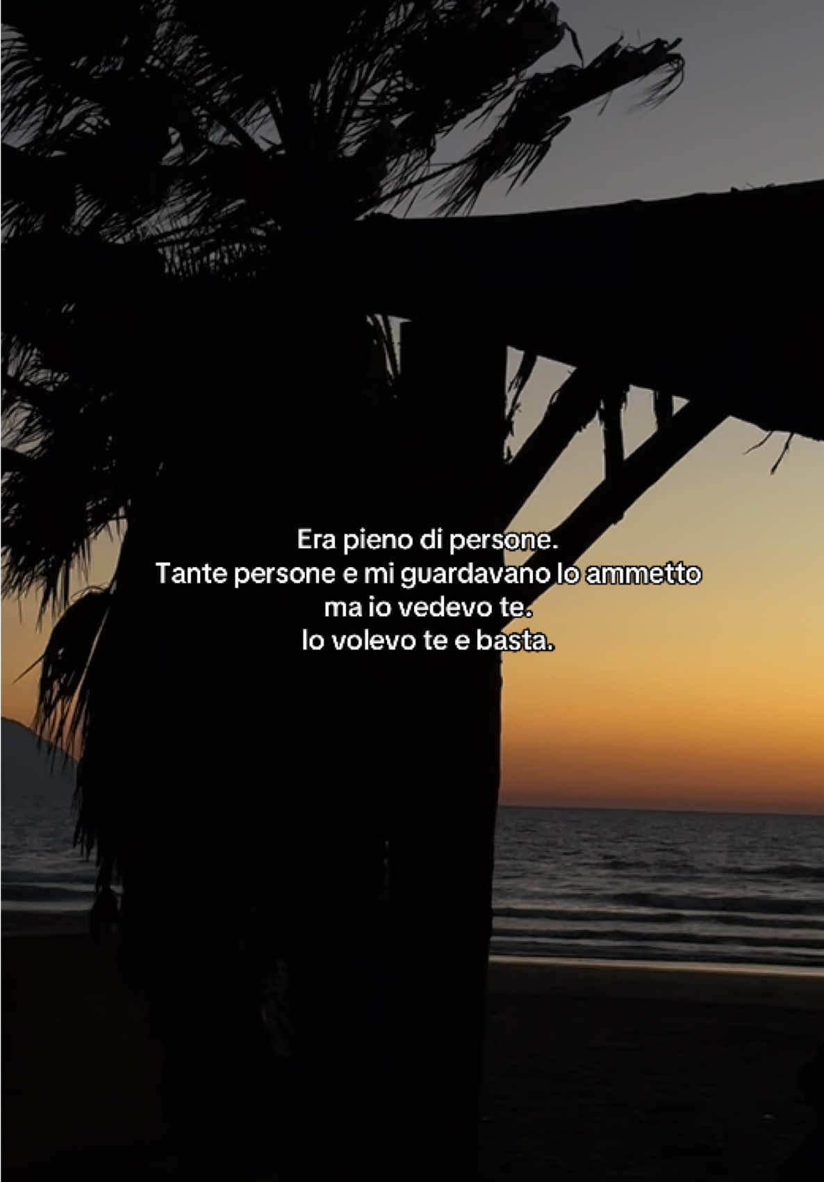 @🌙