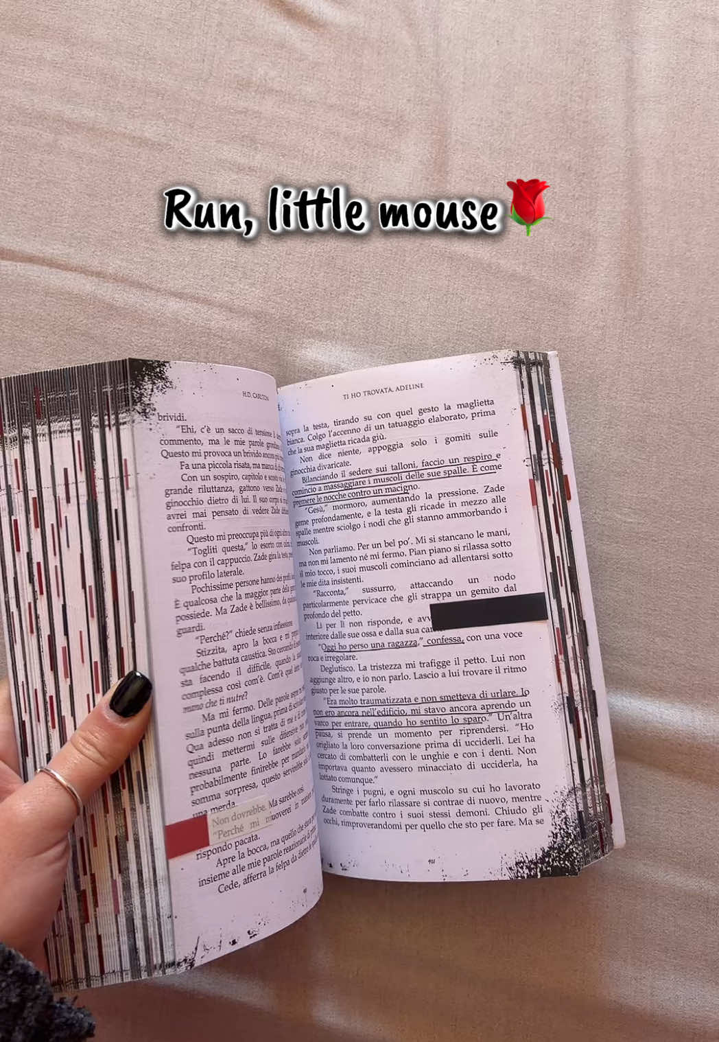 @𝑺𝒊𝒔𝒔𝒊&rsquo;𝒔 𝒃𝒐𝒐𝒌𝒔🌷