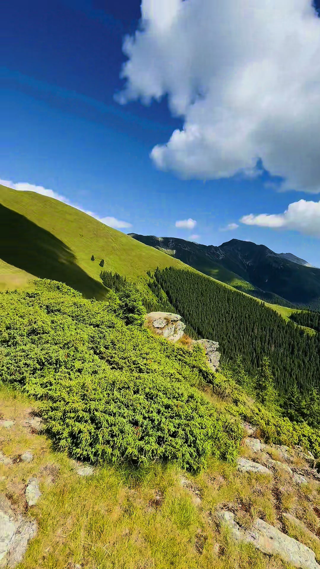 @Dar!us Vlădău ✅