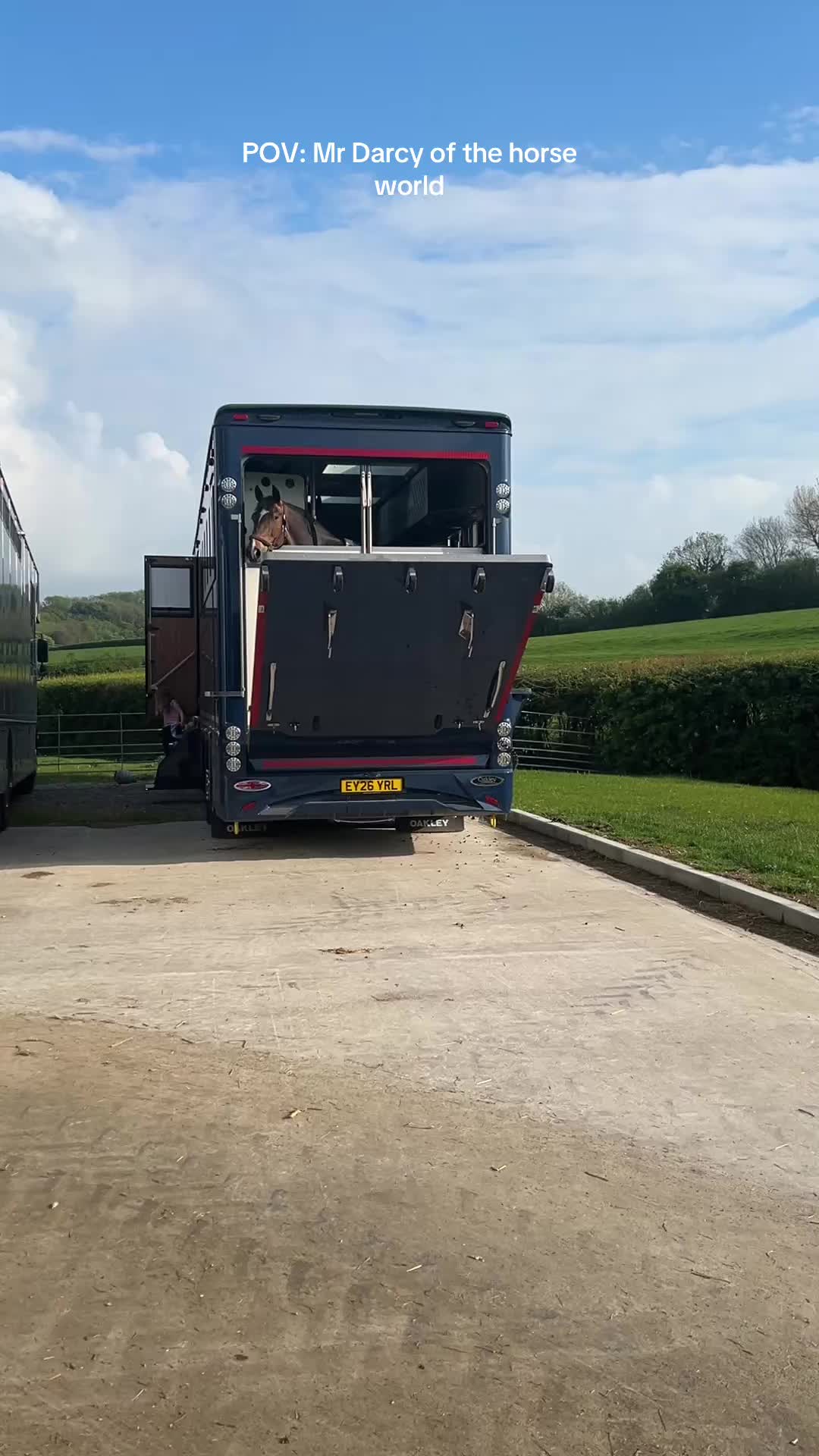 @markedwardsshowjumping