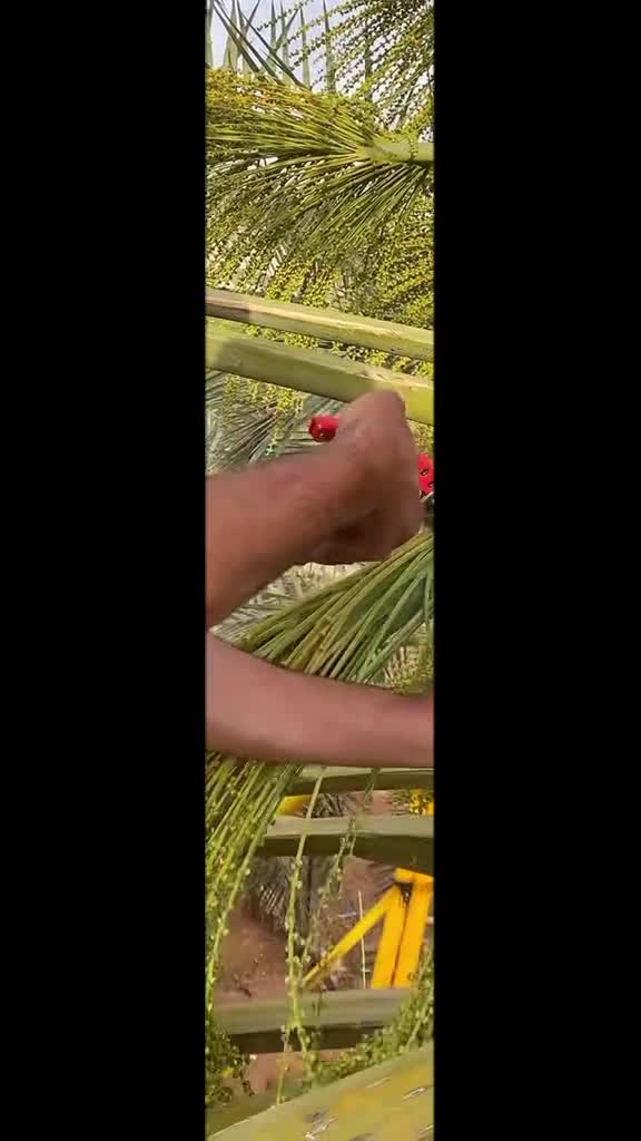 @islami video 🕋🕋🕋🕋