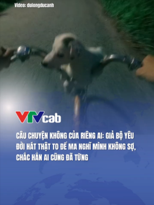 @VTVcab Trending - Giải trí