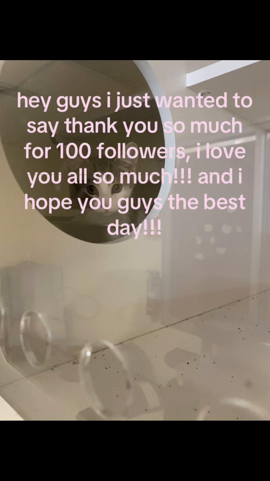 @armins_wife5