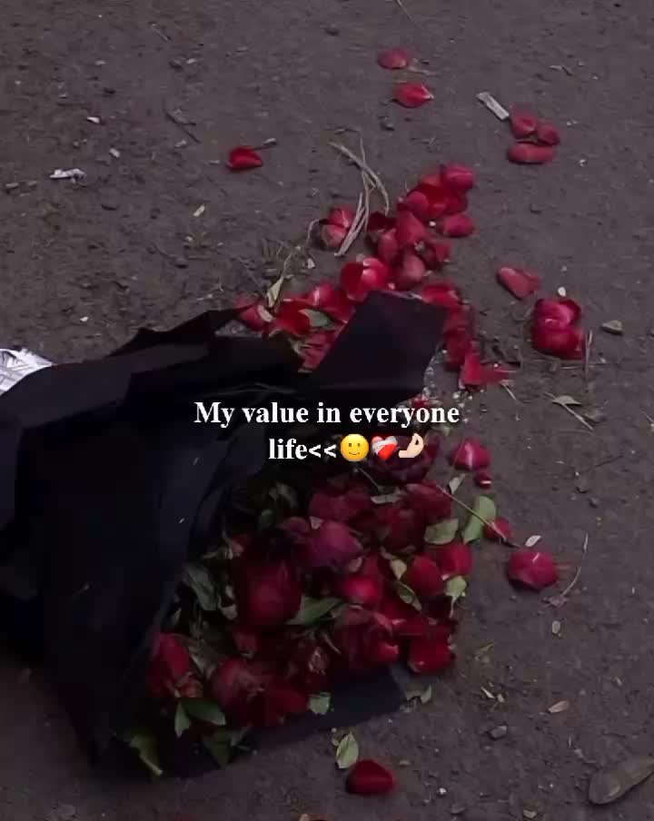 @𓆩 𝐈 𝐒 𝐌 𝐀 𝐄 𝐋 𓆪