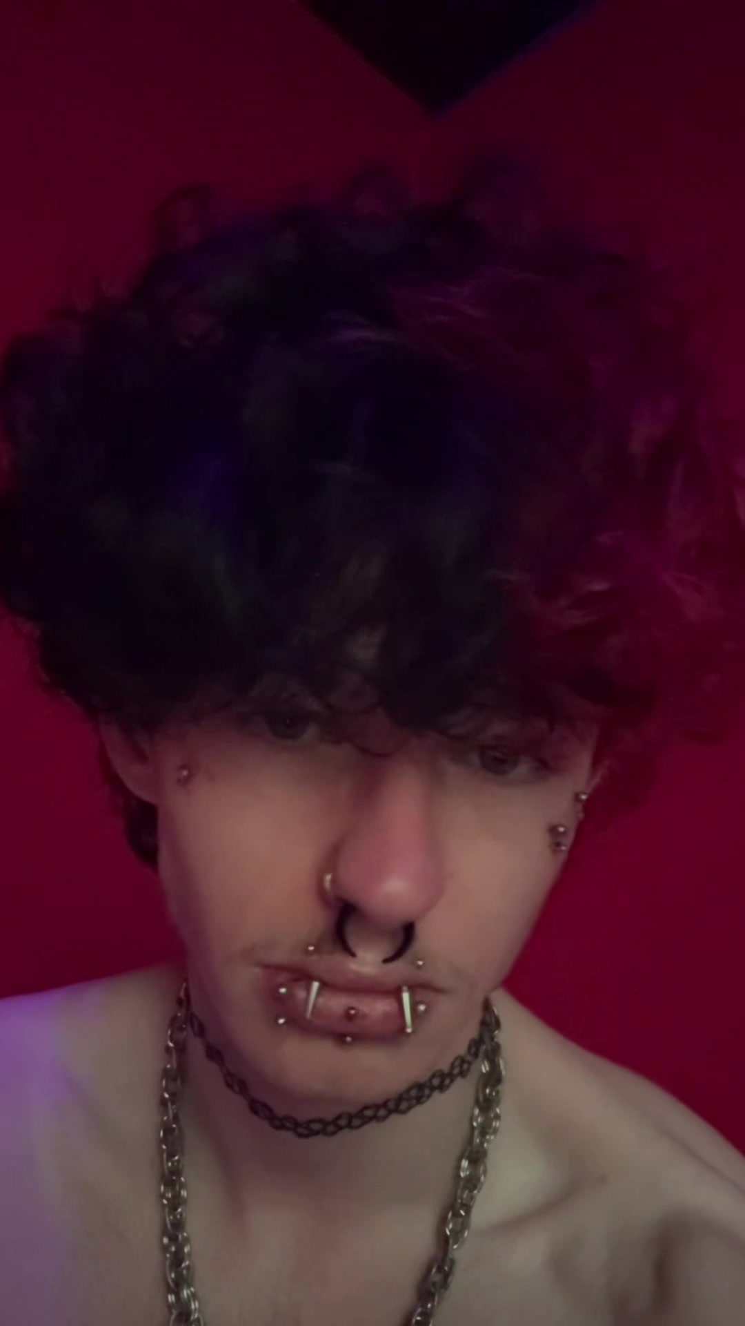 @🦇