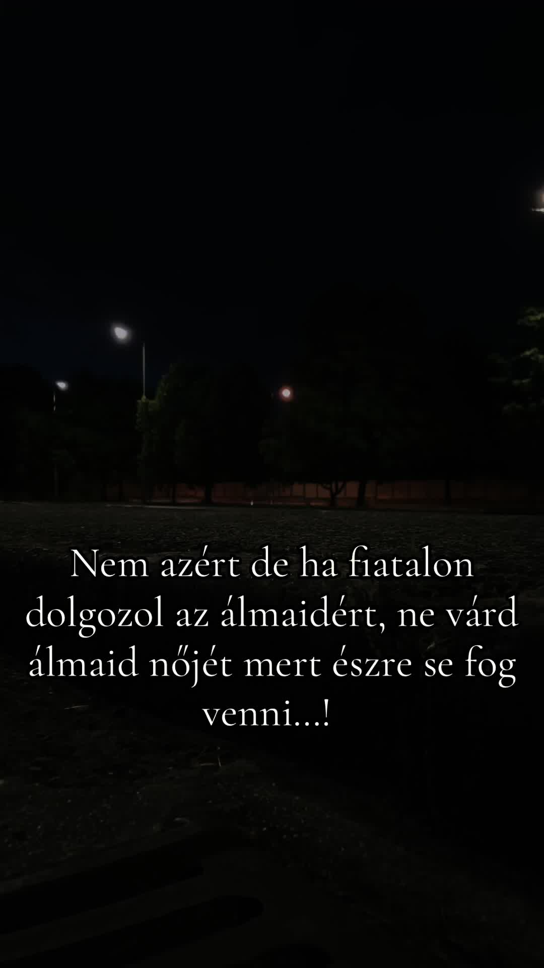 @Gábor Vaskó