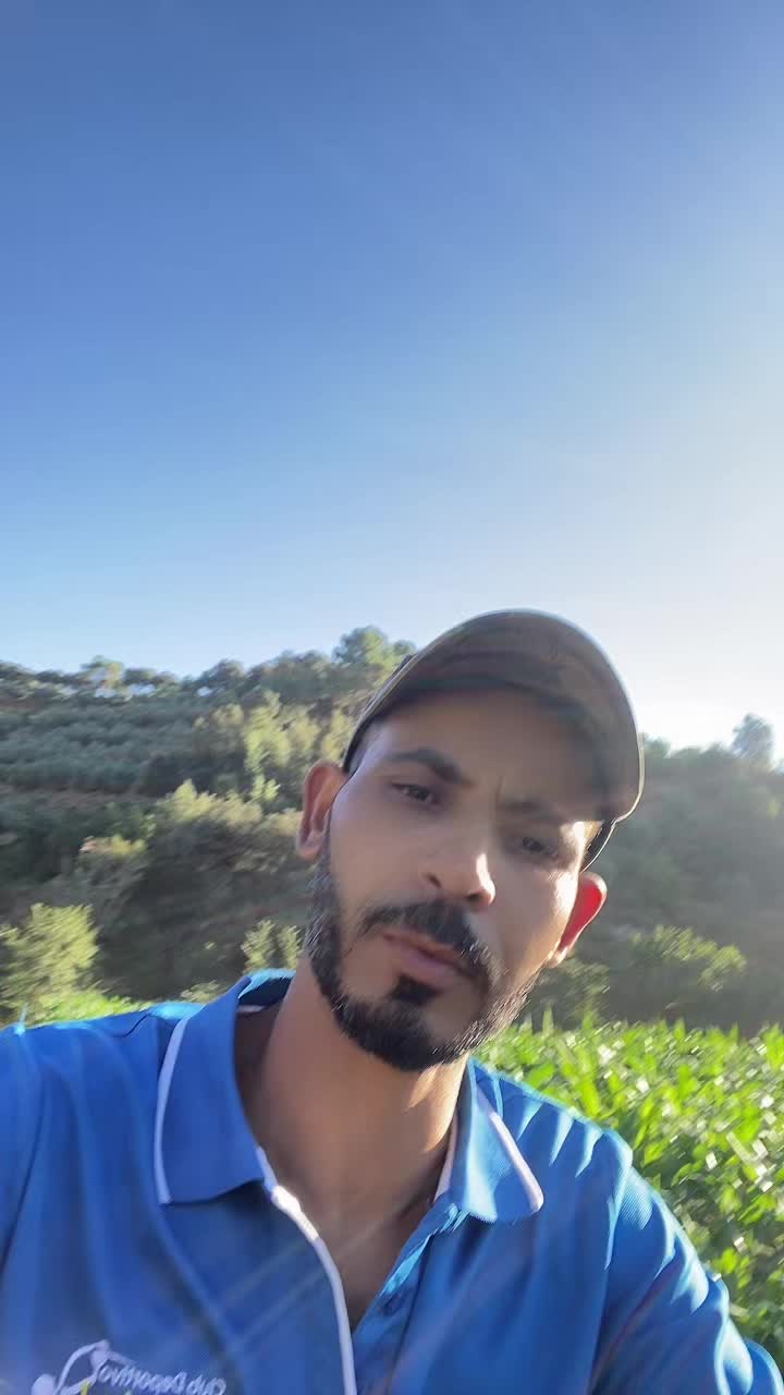@il&atilde;ss m&iacute; l&atilde; v&iacute;d&acirc;
