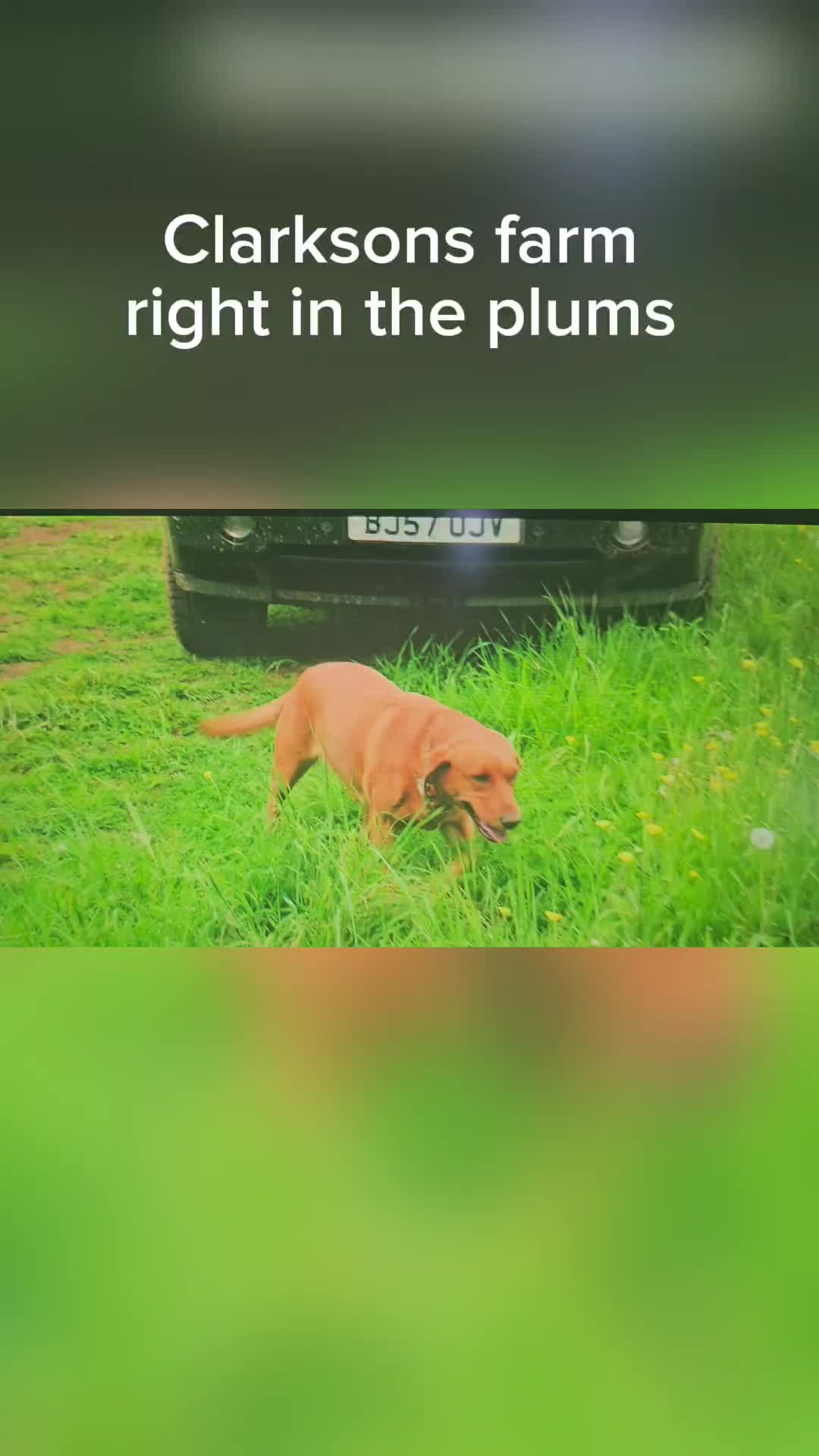 @Ⓙⓐⓢⓞⓝ