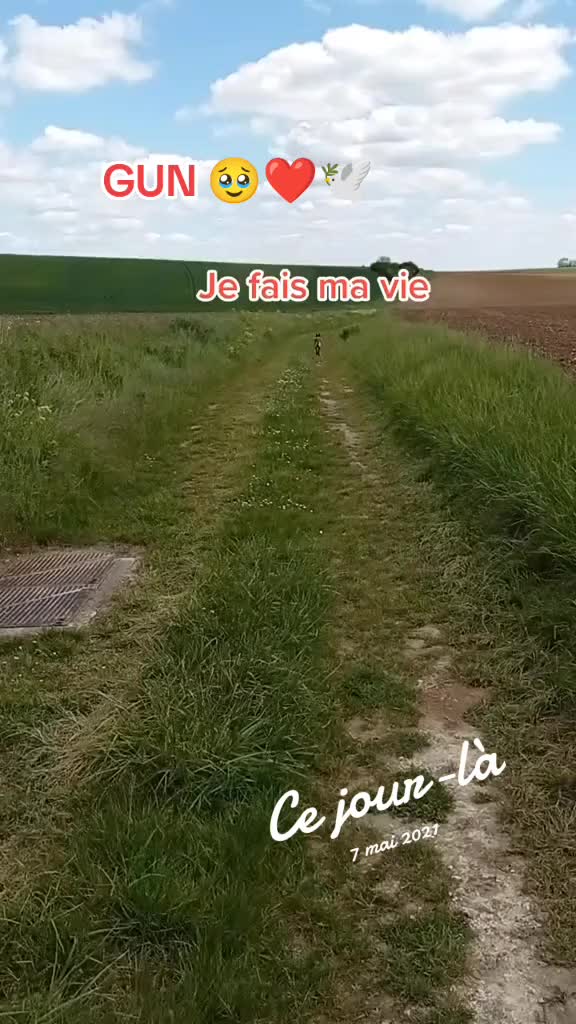 @Gun-BelgianShepherd