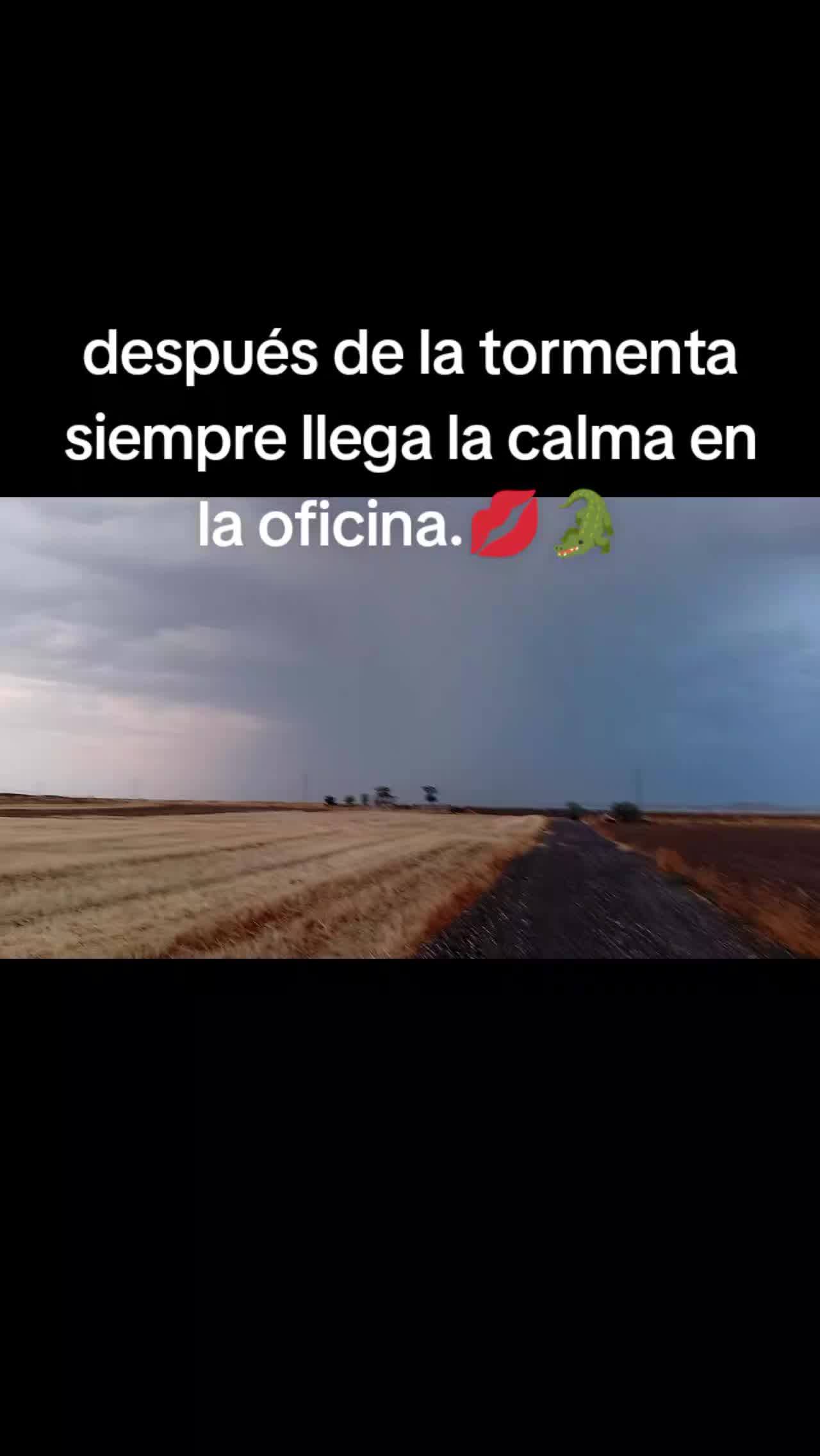 @cocodrilo