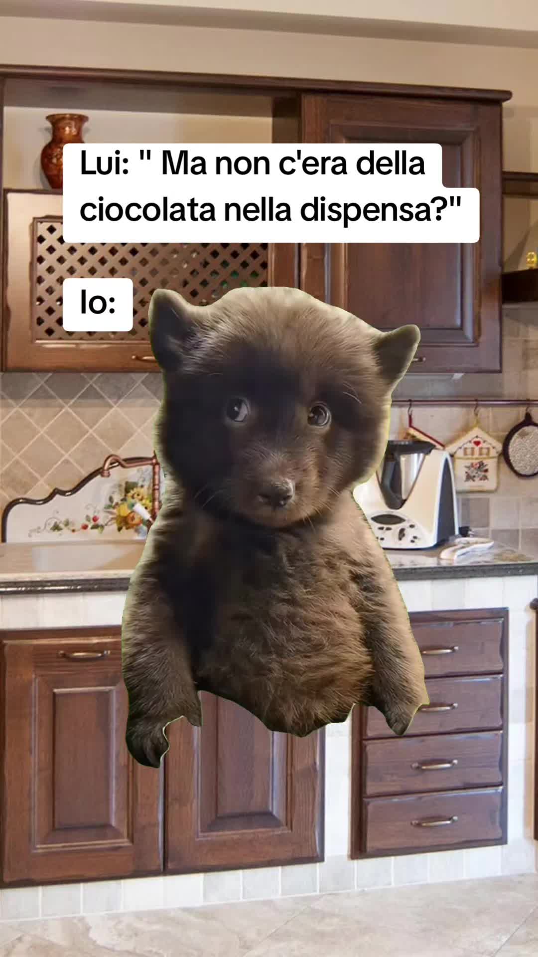 @Catzatte