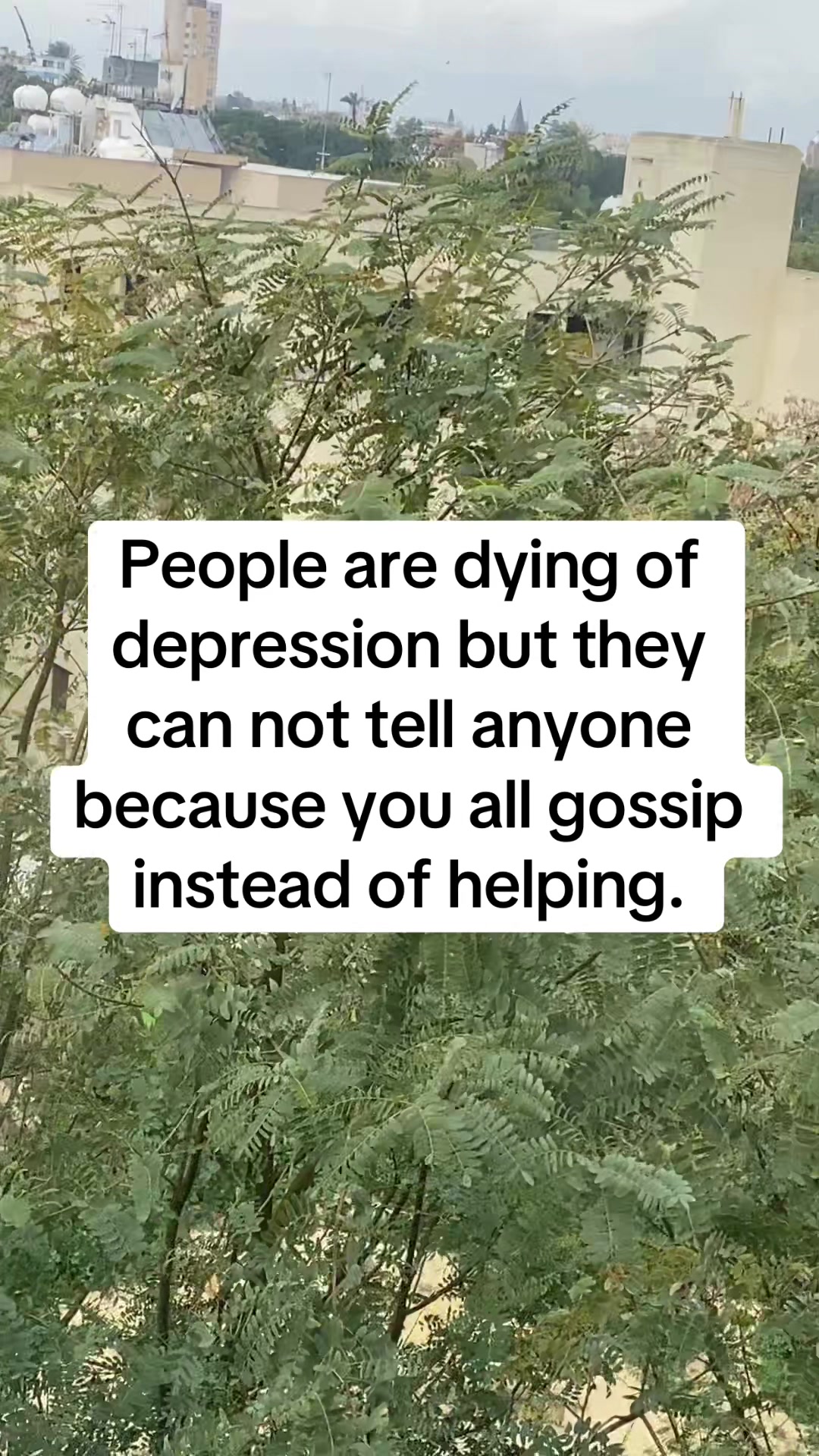 @AmazingQueen👸💐