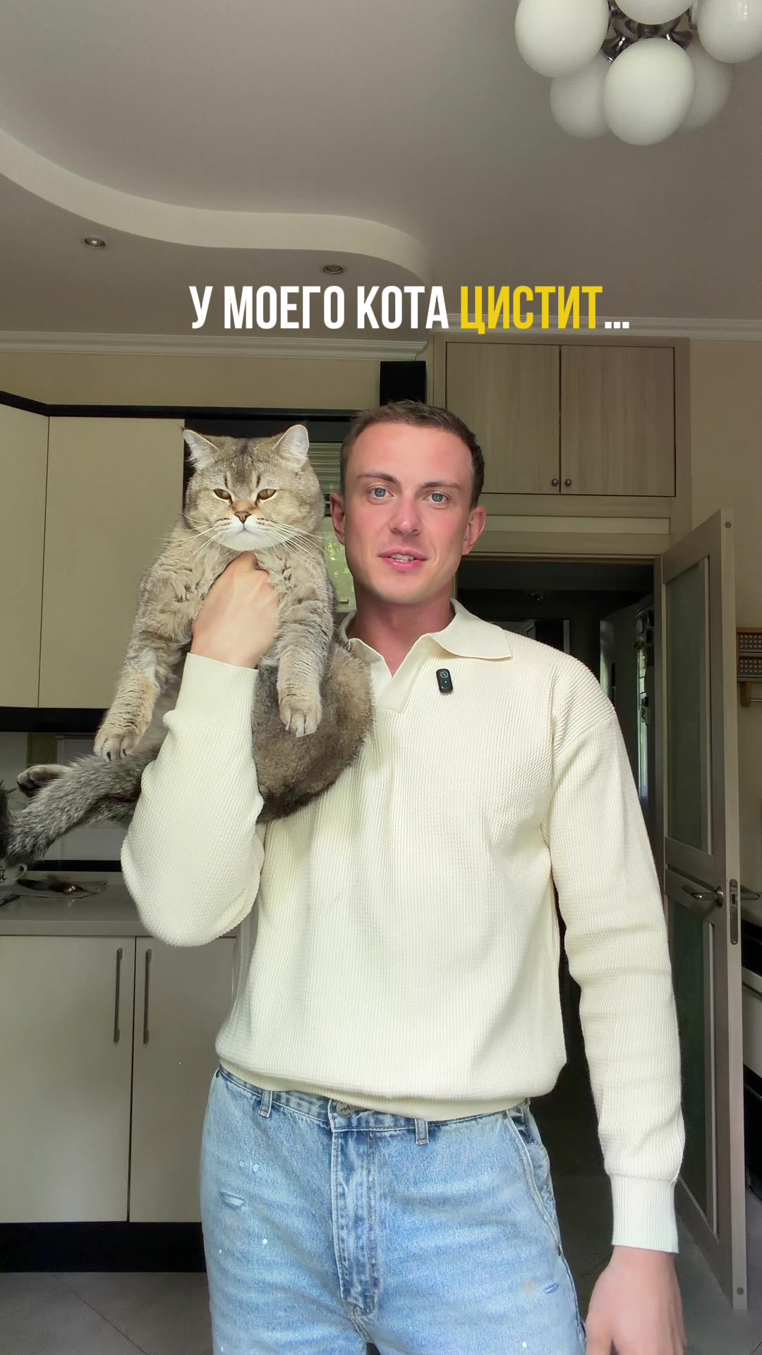 @котопапа