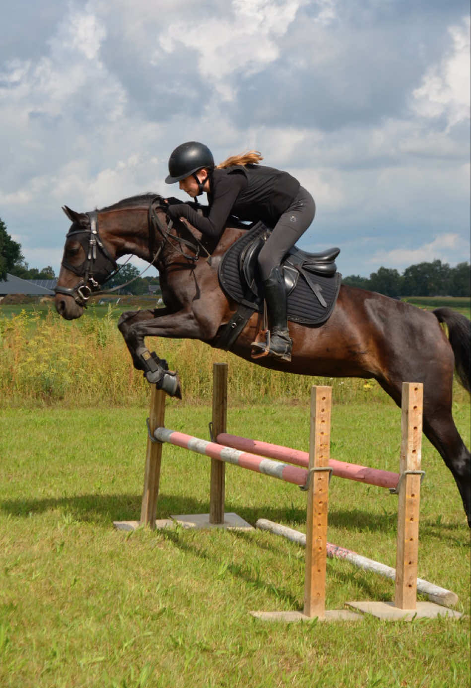 @Equi Roosje🇳🇱