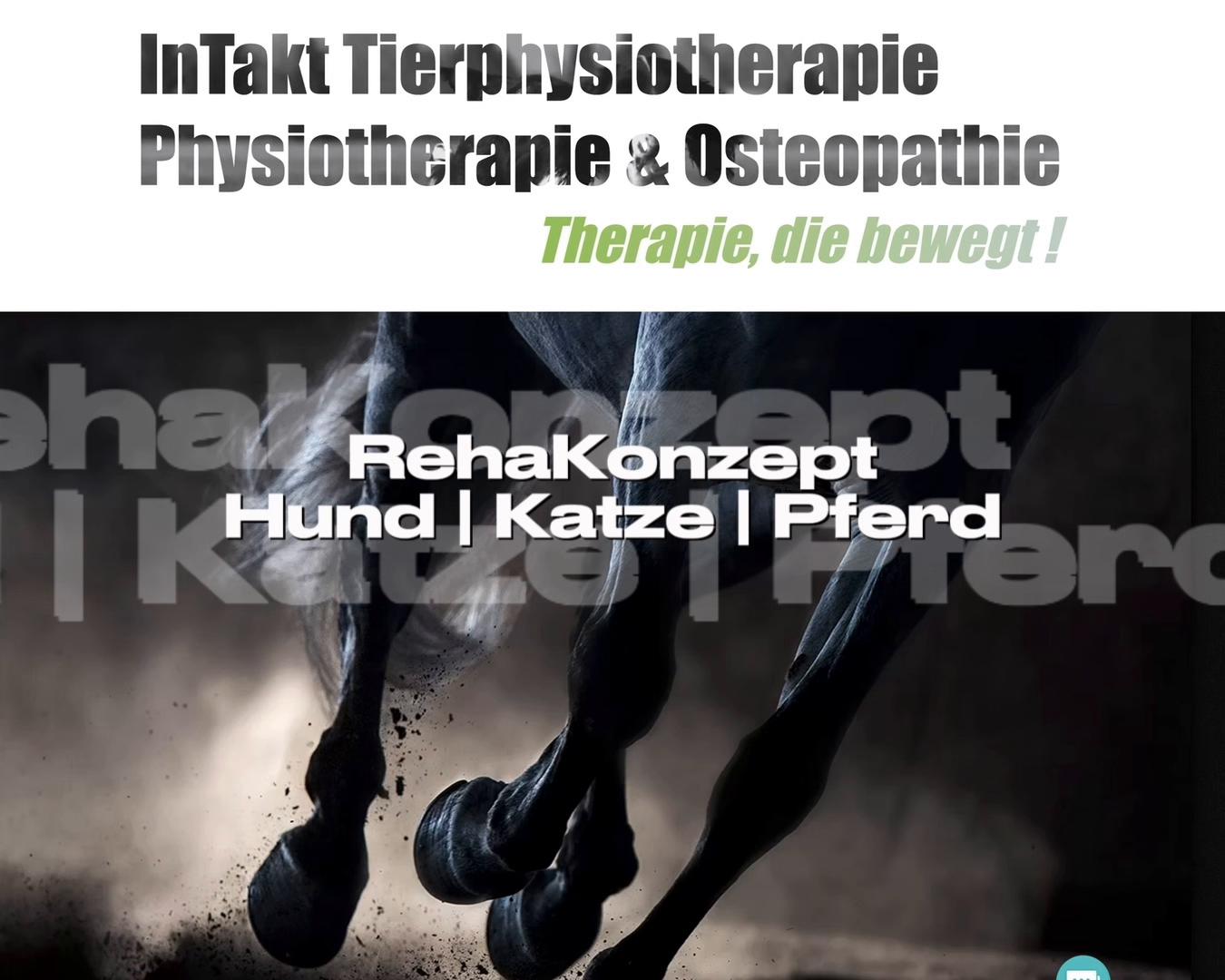 @Pferdephysiotherapie InTakt