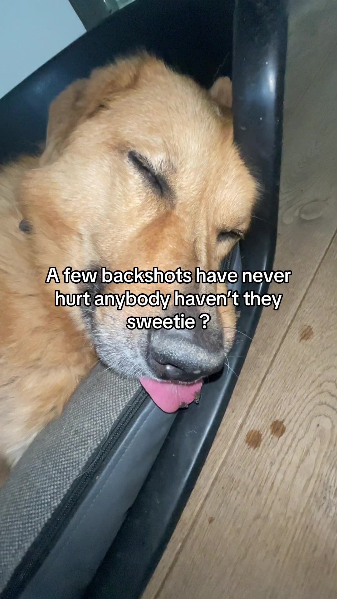 @Neo
