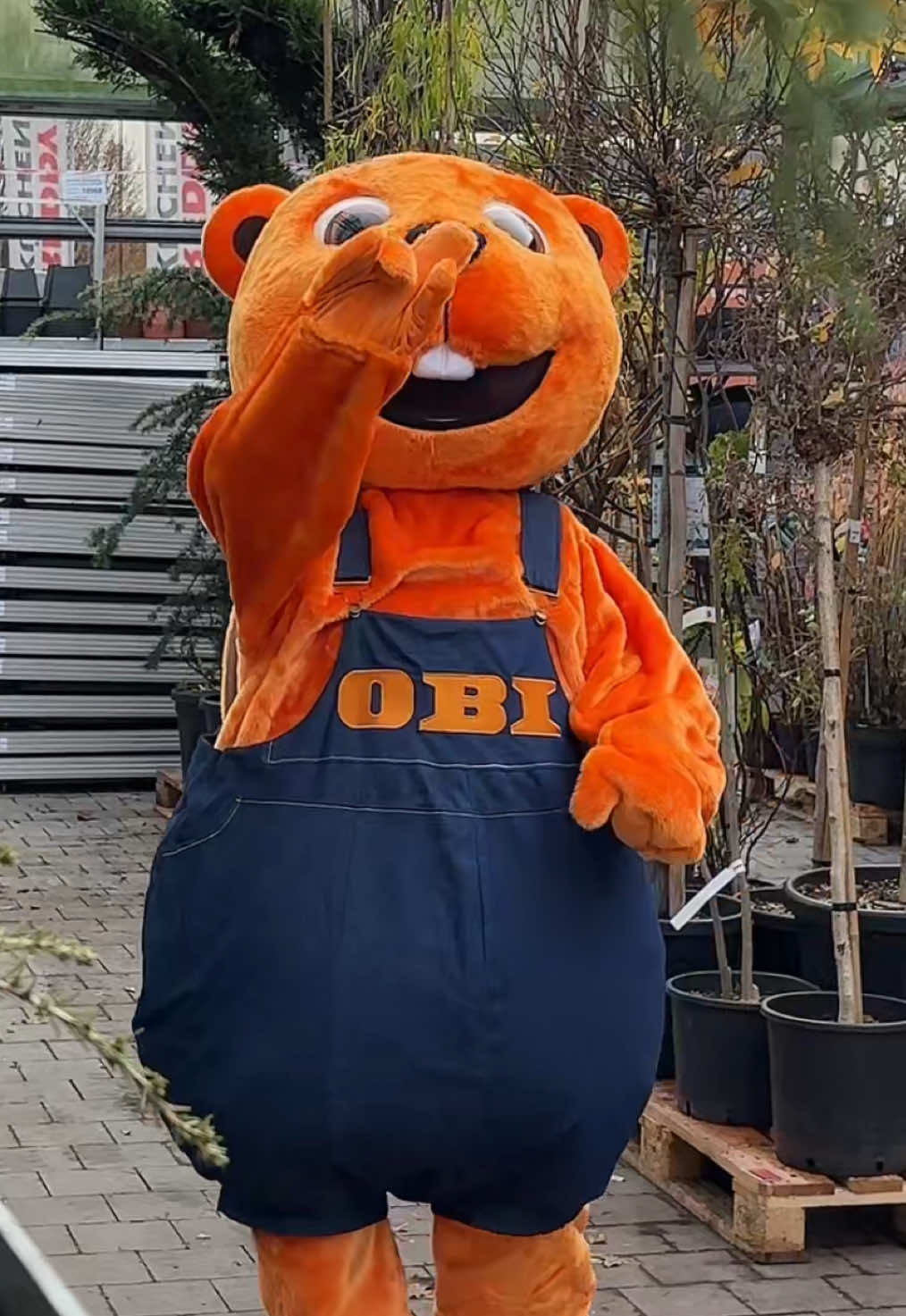 @OBI Singen