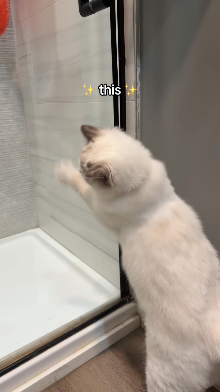 @Sarah 🌼
