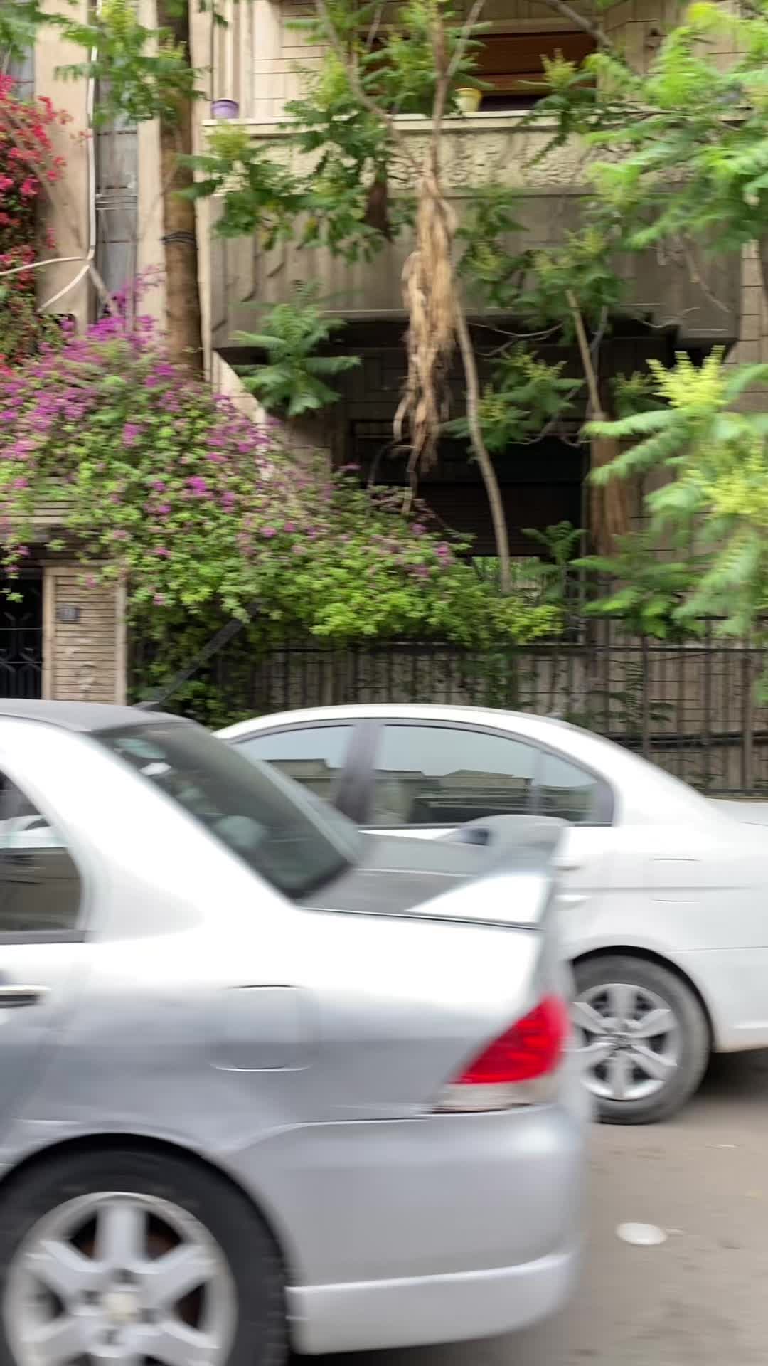 @Nanoo saka
