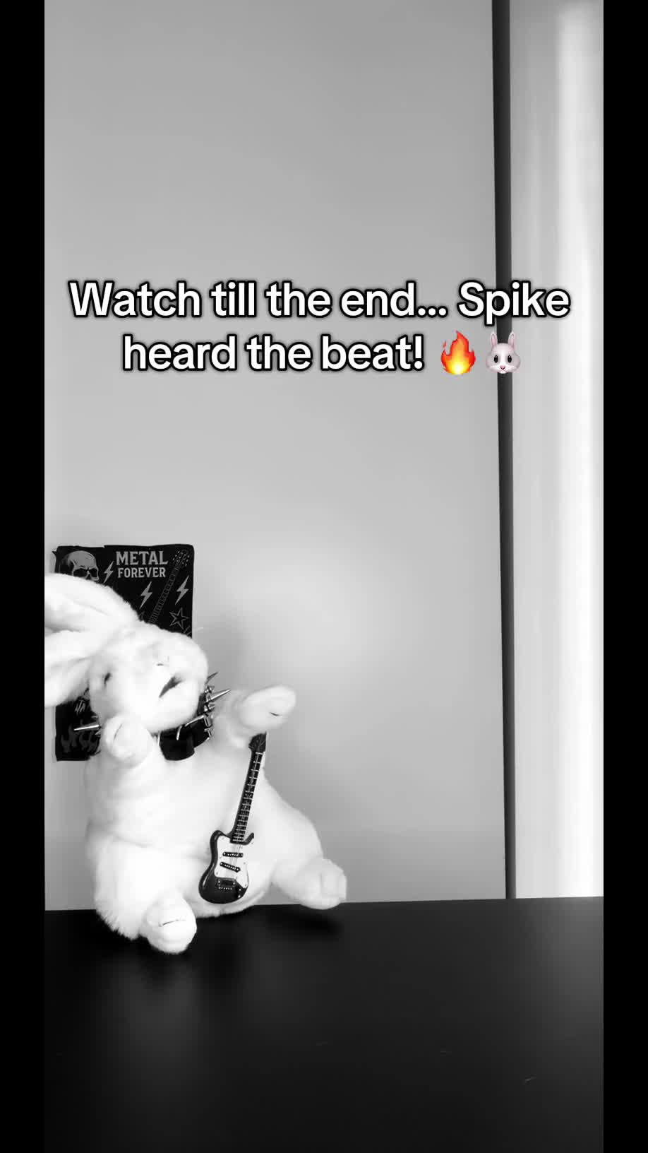 @๐ฅ Spike Bun ๐ฅ