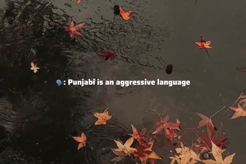 @ʟᴏꜰɪ ᴅʀᴇᴀᴍꜱ
