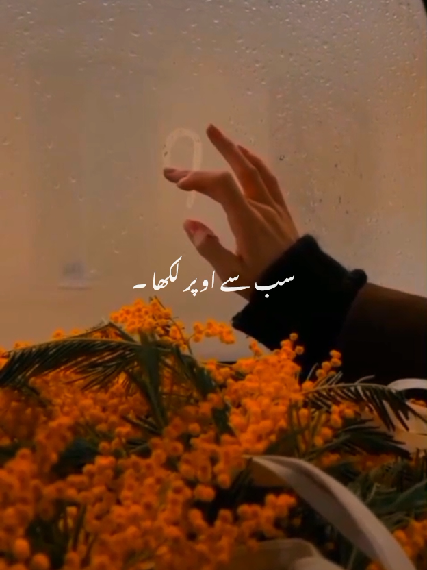 @𝗔𝗰𝗰 𝗙𝗼𝗿 𝗦𝗮𝗹𝗲 💸