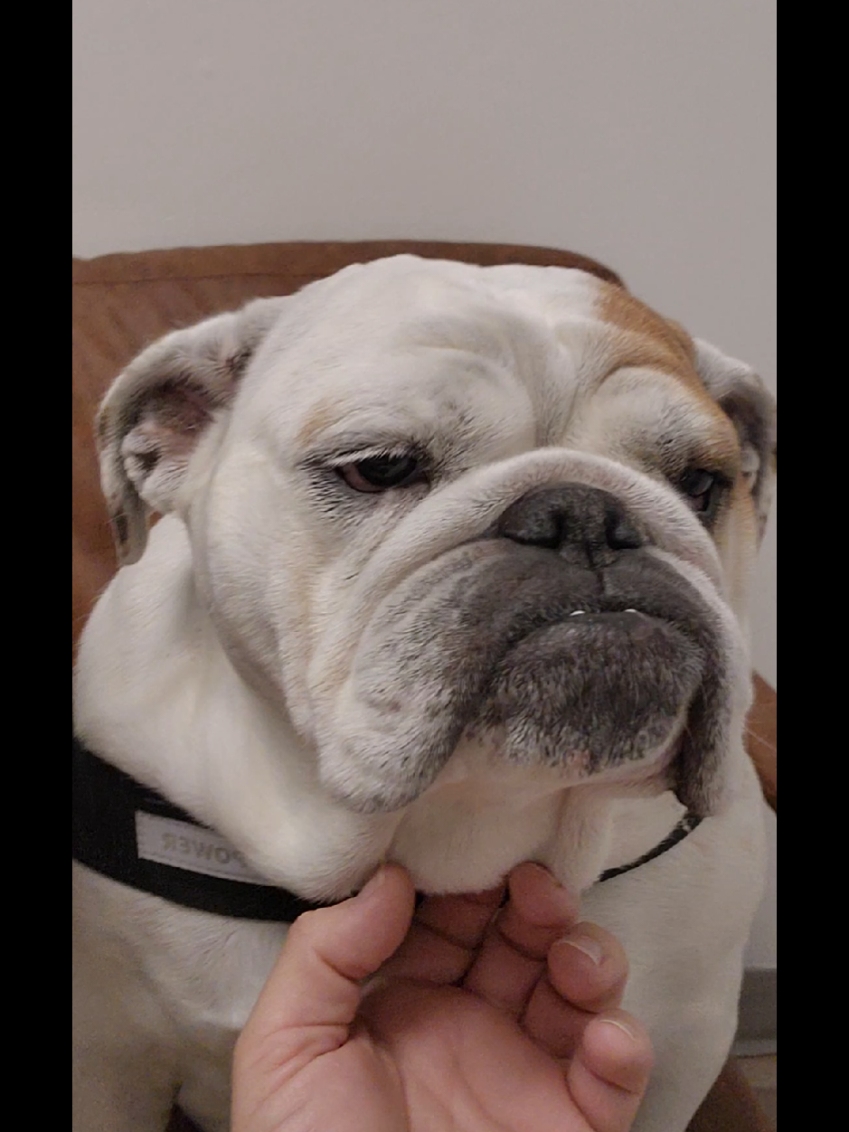 @familypethealth