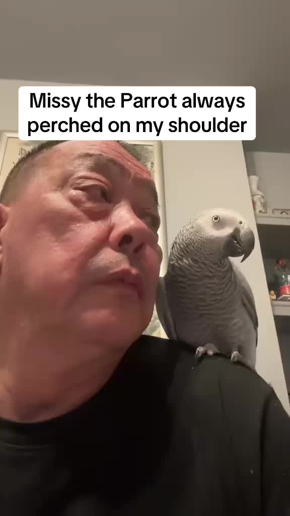 @Norman and Missy the Parrot