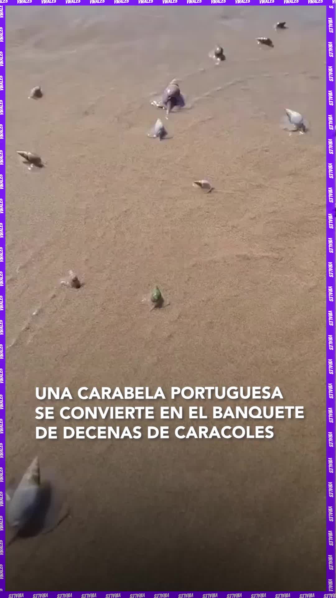 @RED UNO DE BOLIVIA