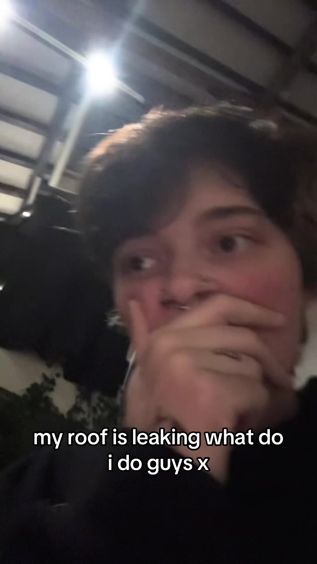 @vex 🎲
