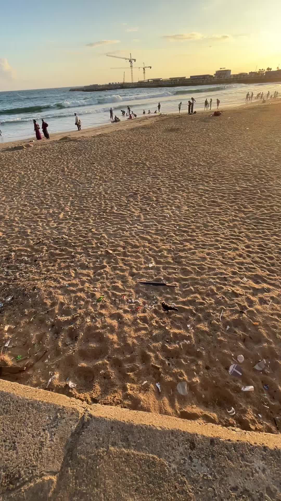 @Beast Travels