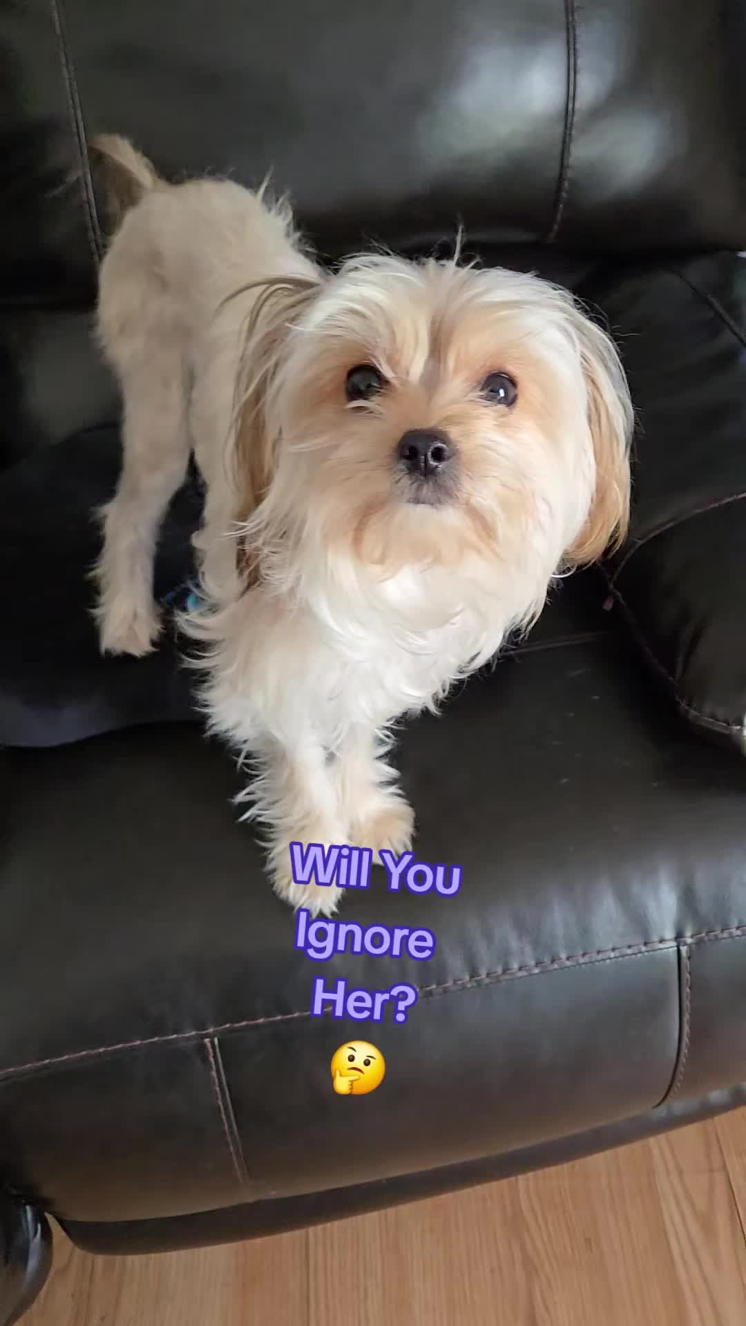 @Red