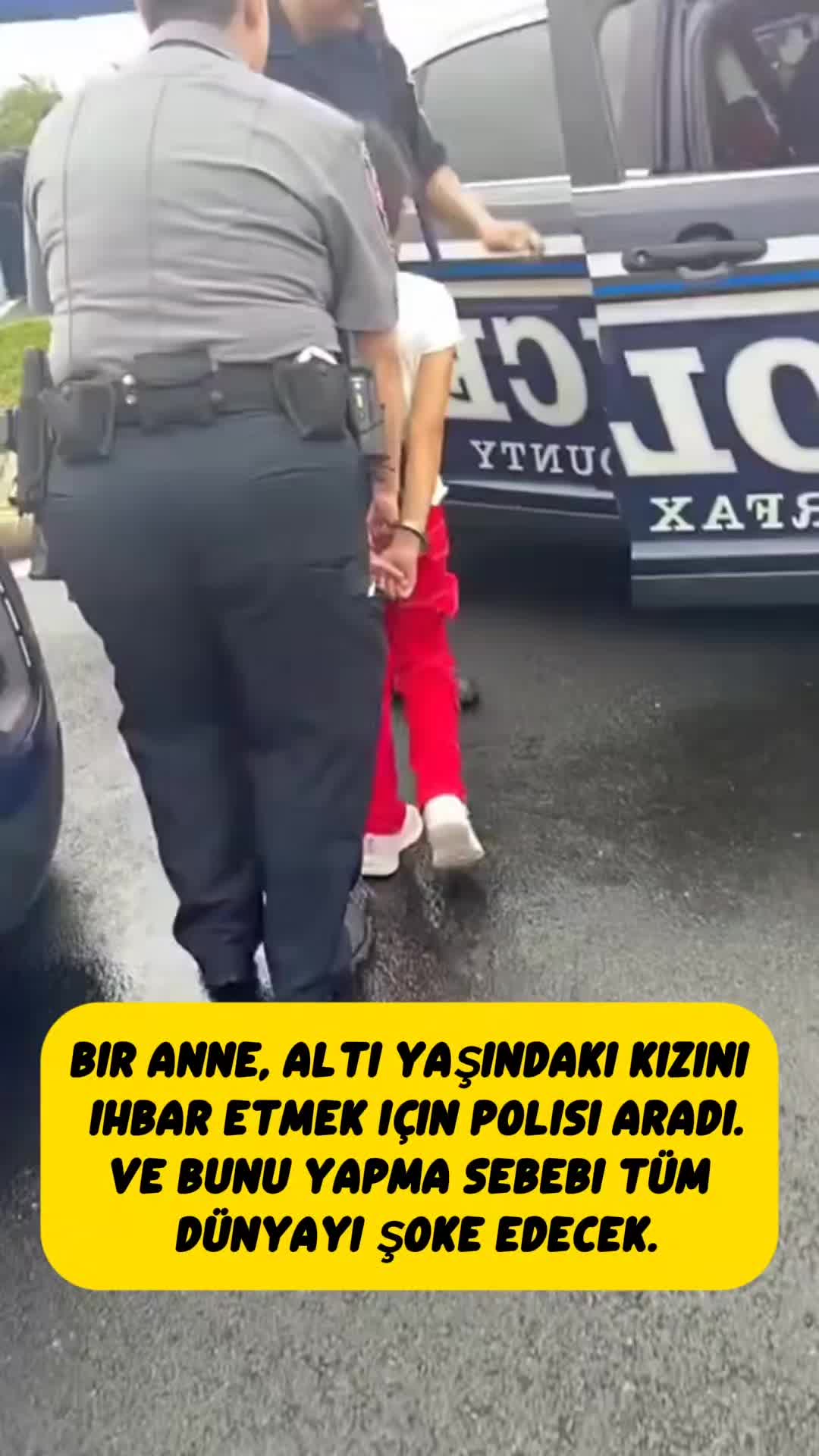 @sonsuzbilgi3