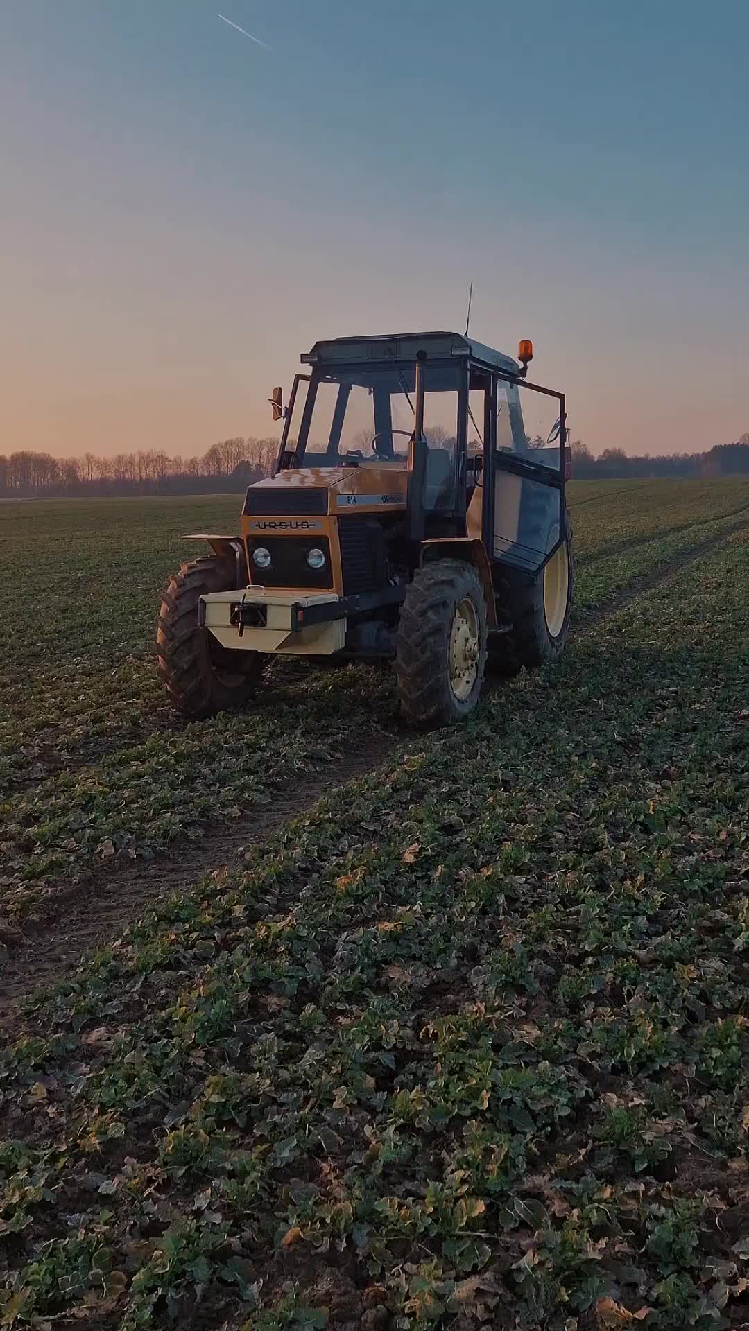 @Miłosz