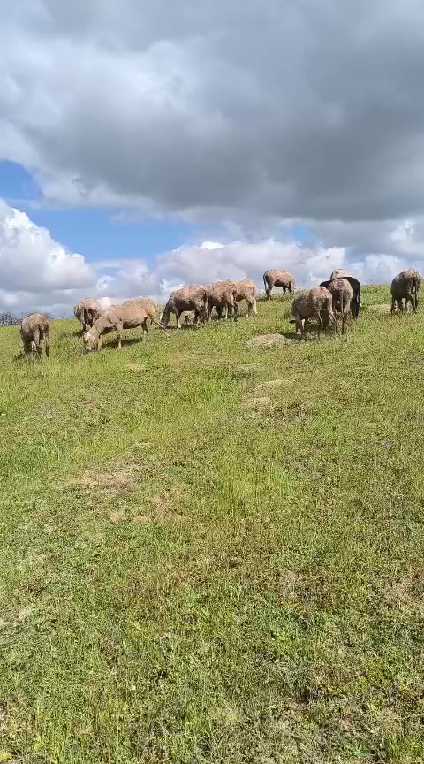 @Erhan Çiftçi