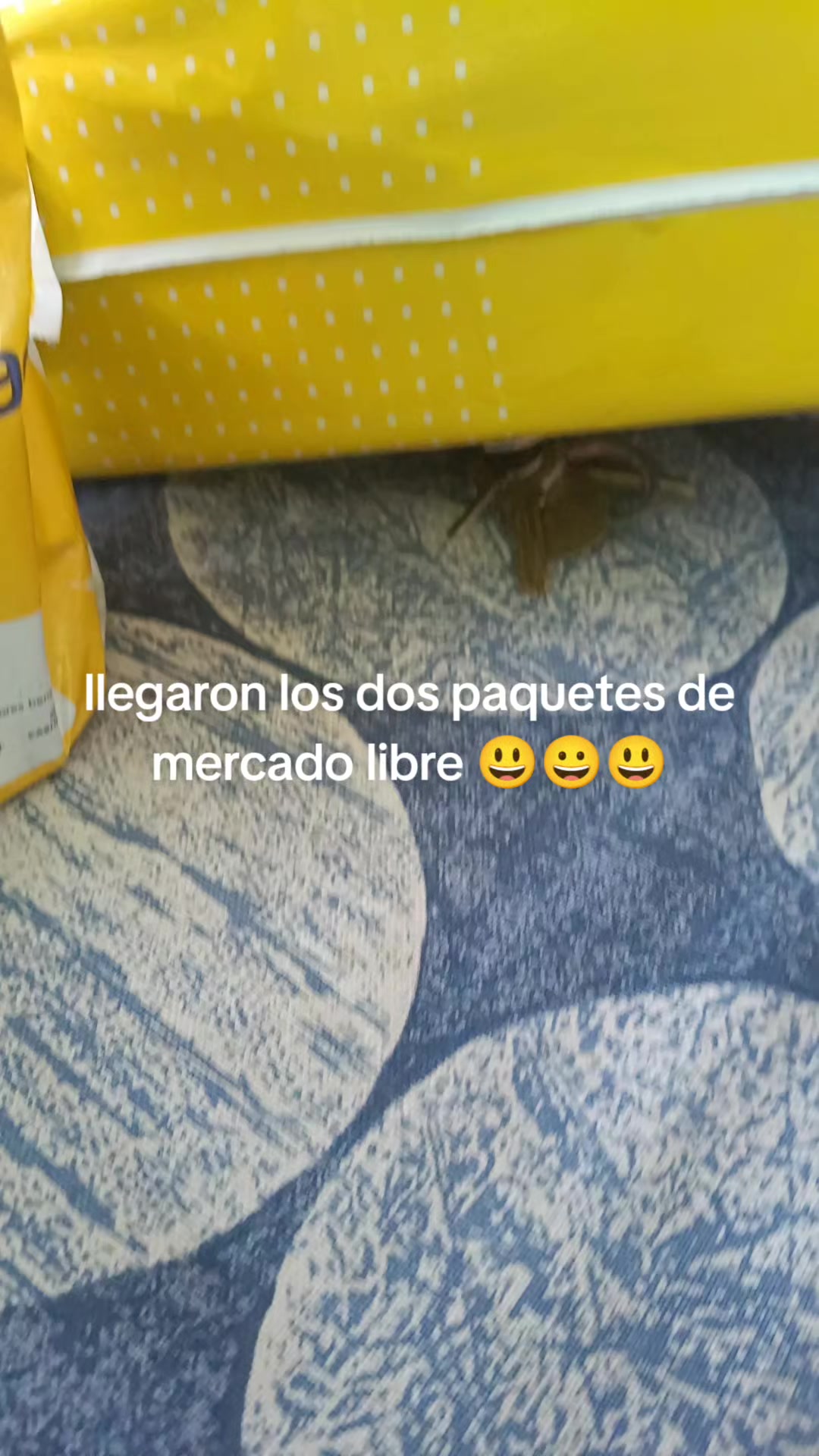@negro jarocho