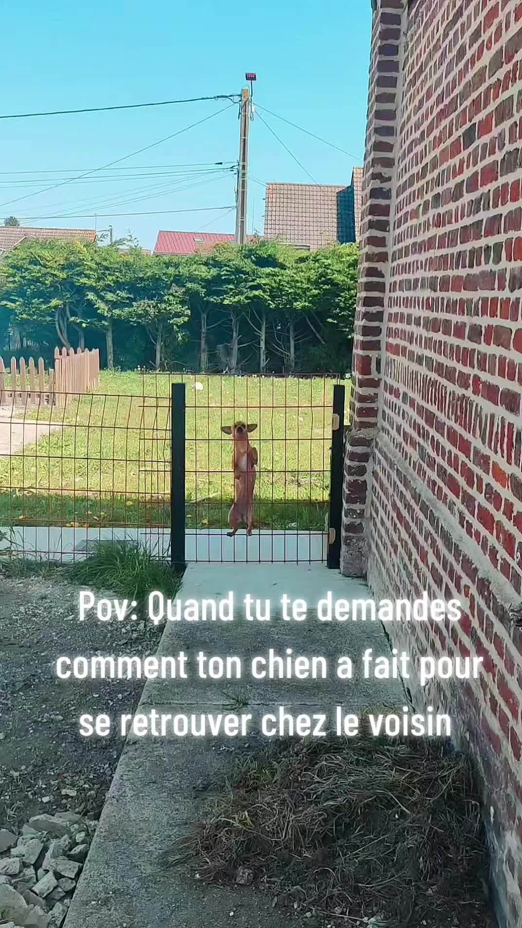 @💫LaRaleuse💫