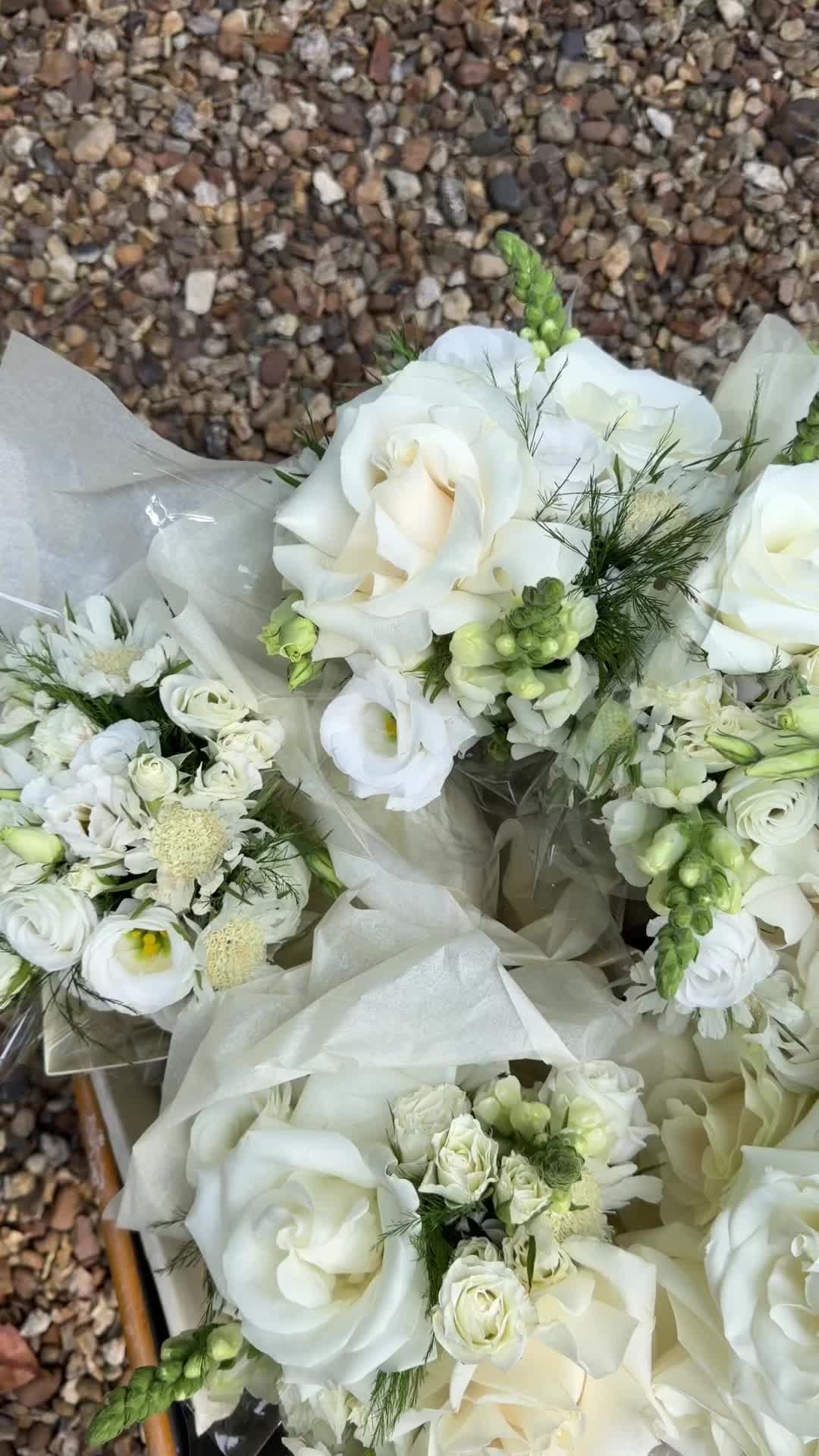 @Lily Cora Flowers 🌸