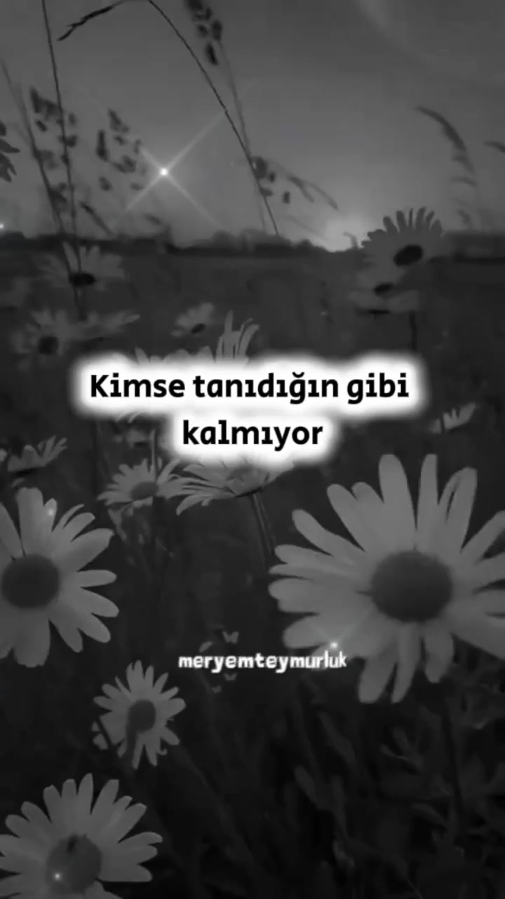 @Meryemteymurluk7