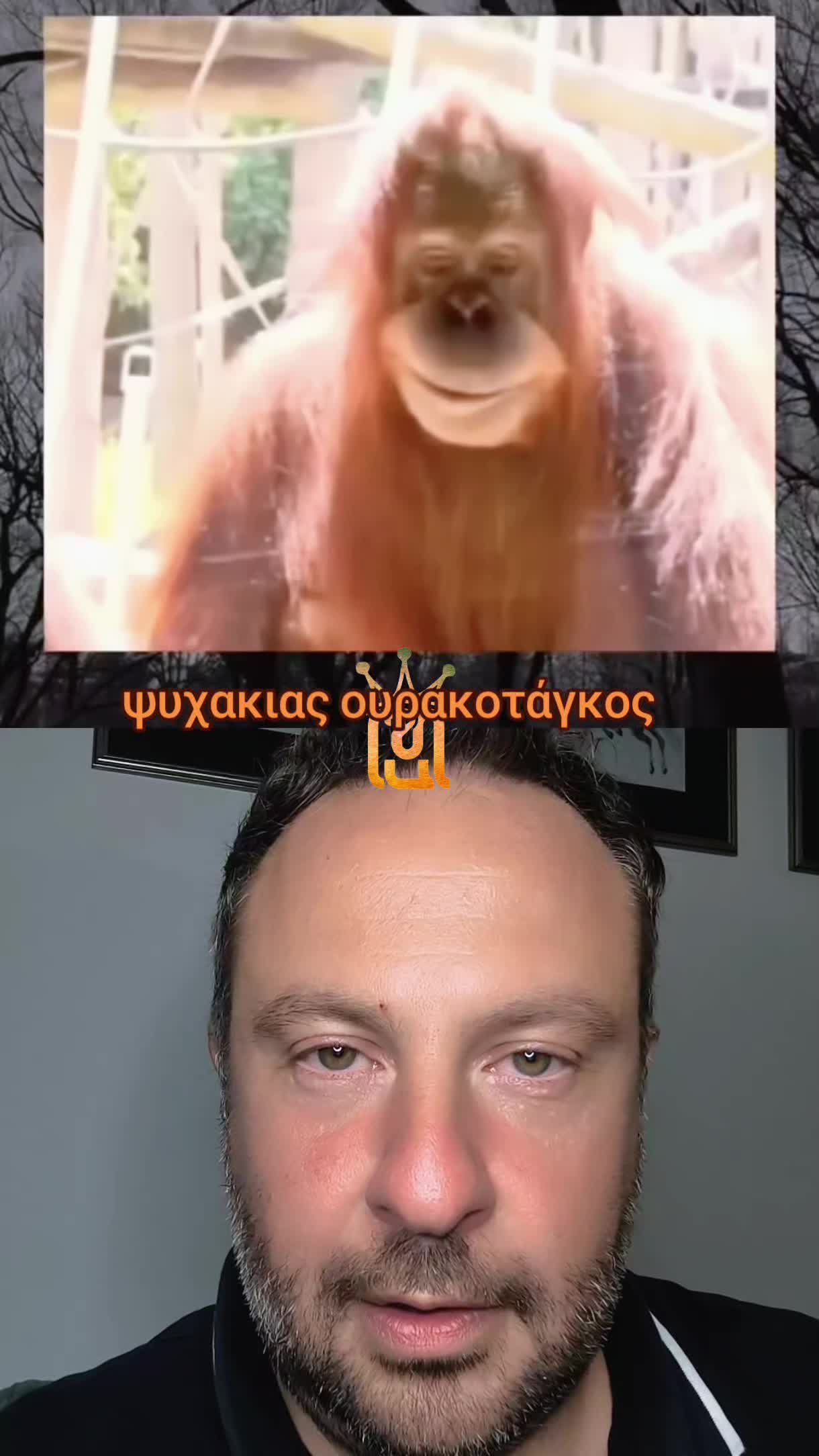 @hadjieleftheriadis