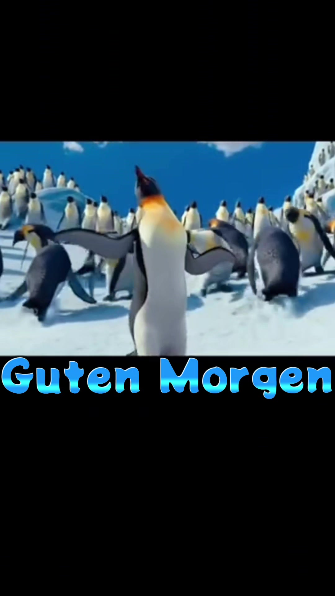 @zahnzaubermaeuschen