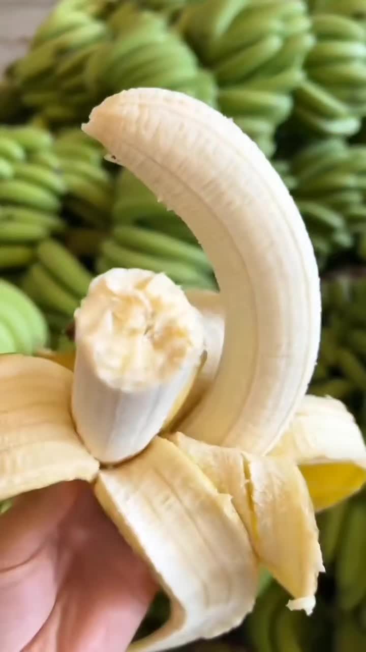 @konga1i