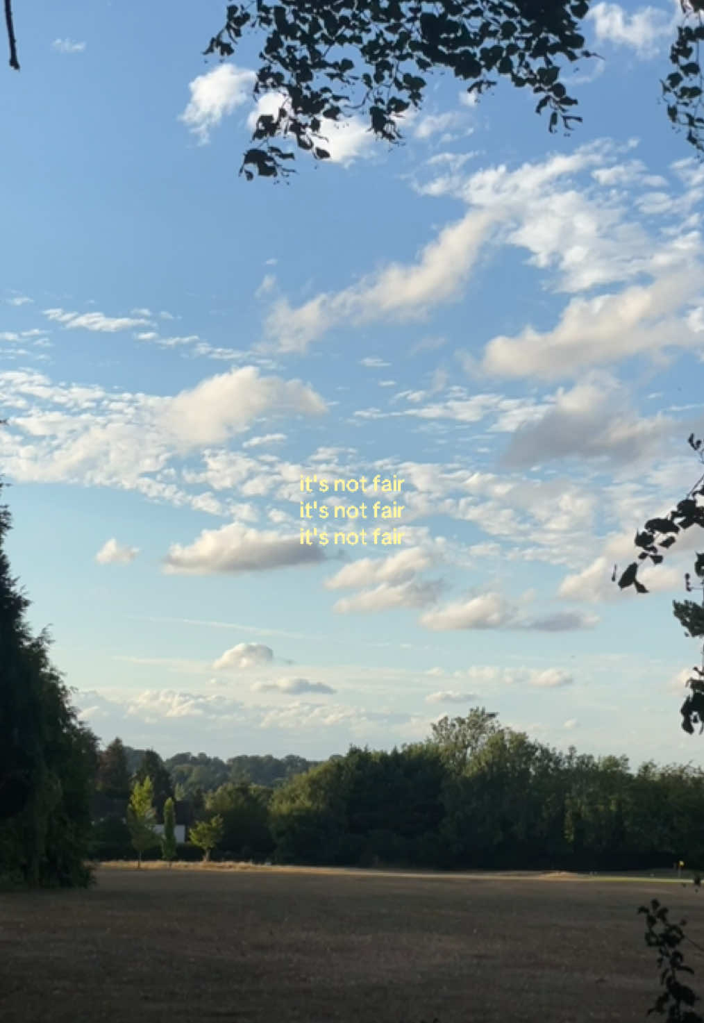 @bug❤︎