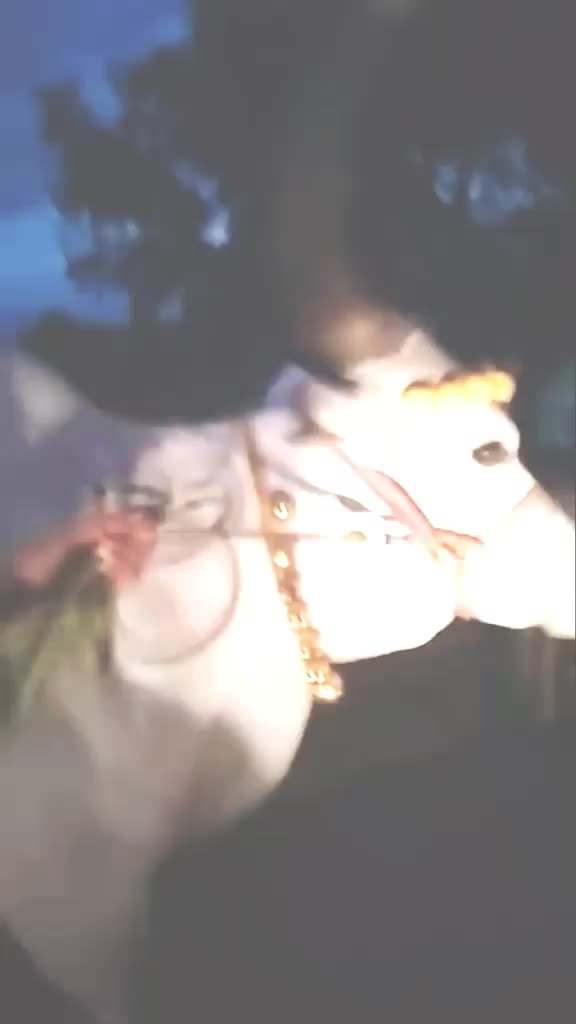 @★J⍟KêRˢᵘᵇʰᵃ࿐
