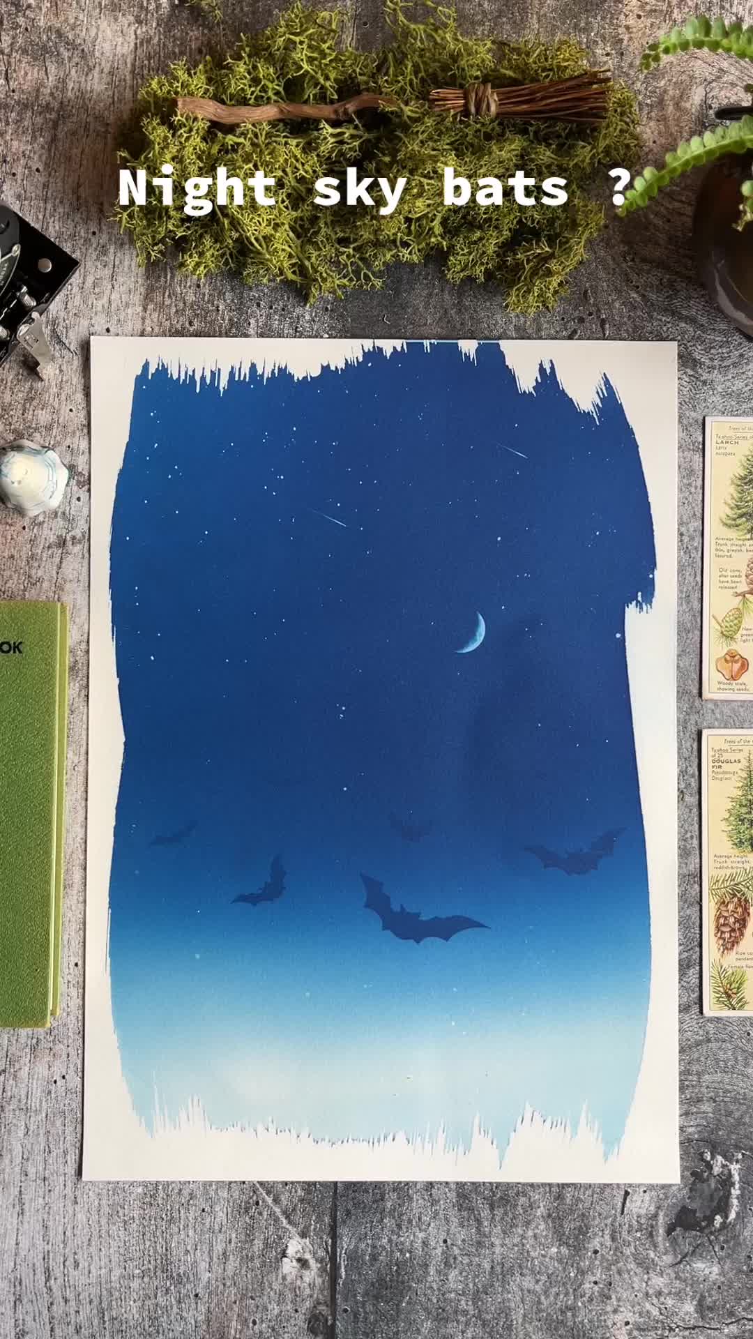 @ObscuraCollective